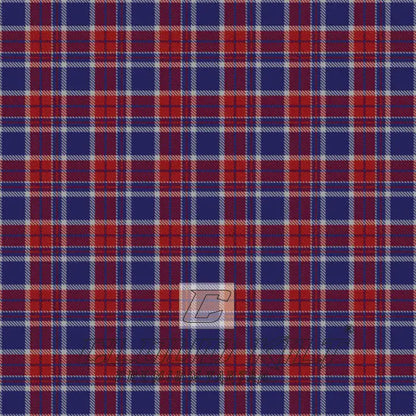 America Eagle version Premium Tartan Kilt CLOUD KILT