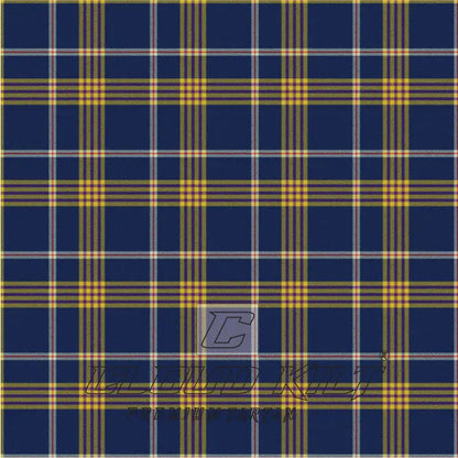 Foster William Martin Family Modern Tartan CLOUD KILT